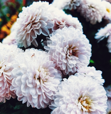 Centro Lágrima tonos Blancos, Enviar Flores Blancas al Tanatorio, Flores para Difuntos, Floristería en Segovia, Comprar Flores Online