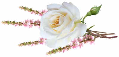 Bouquet Flores Dinamarca, Flores para Regalar, Floristería Online, Ramos de Flores, Arreglos Florales, Floristerías en Segovia